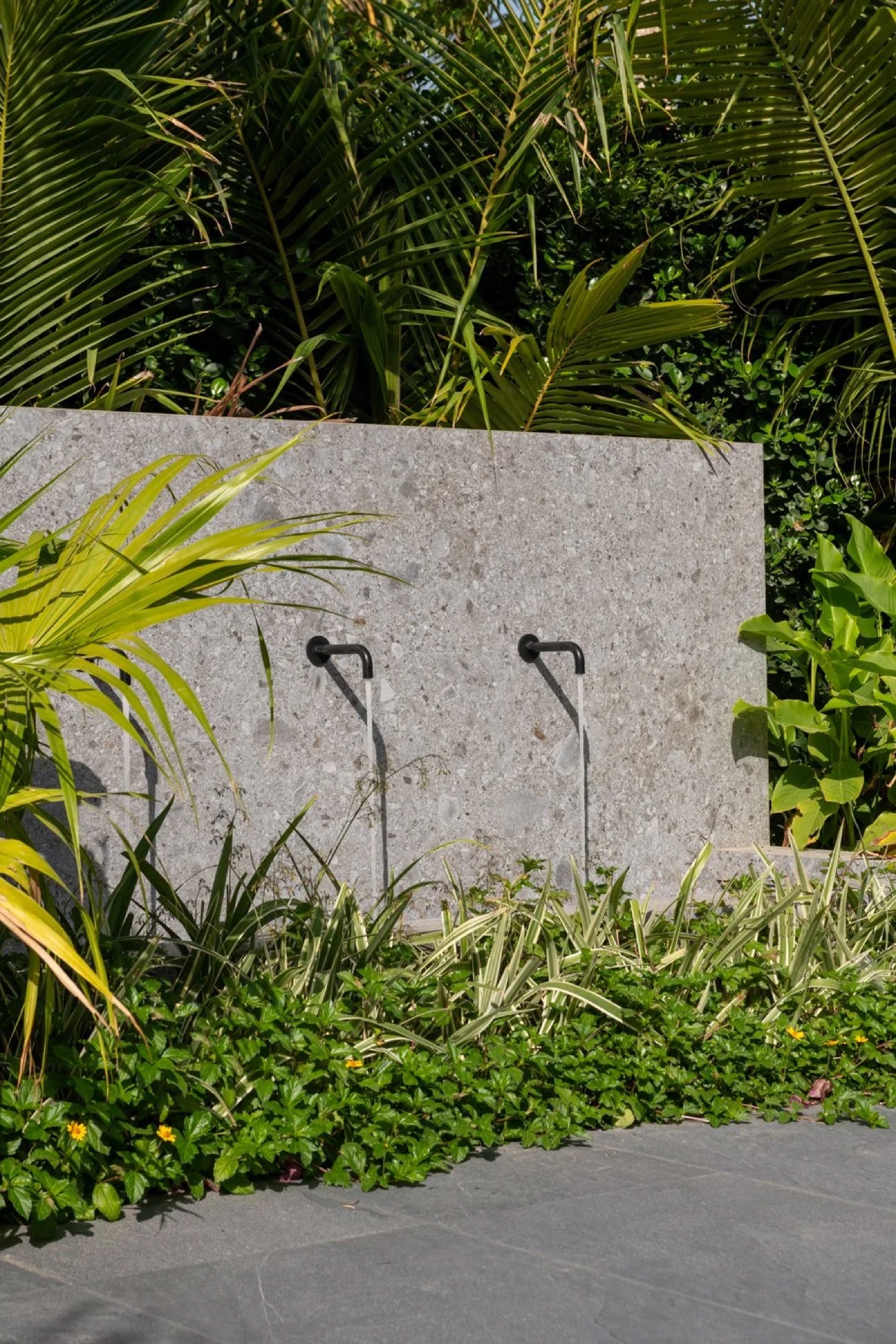 Olive and Stone