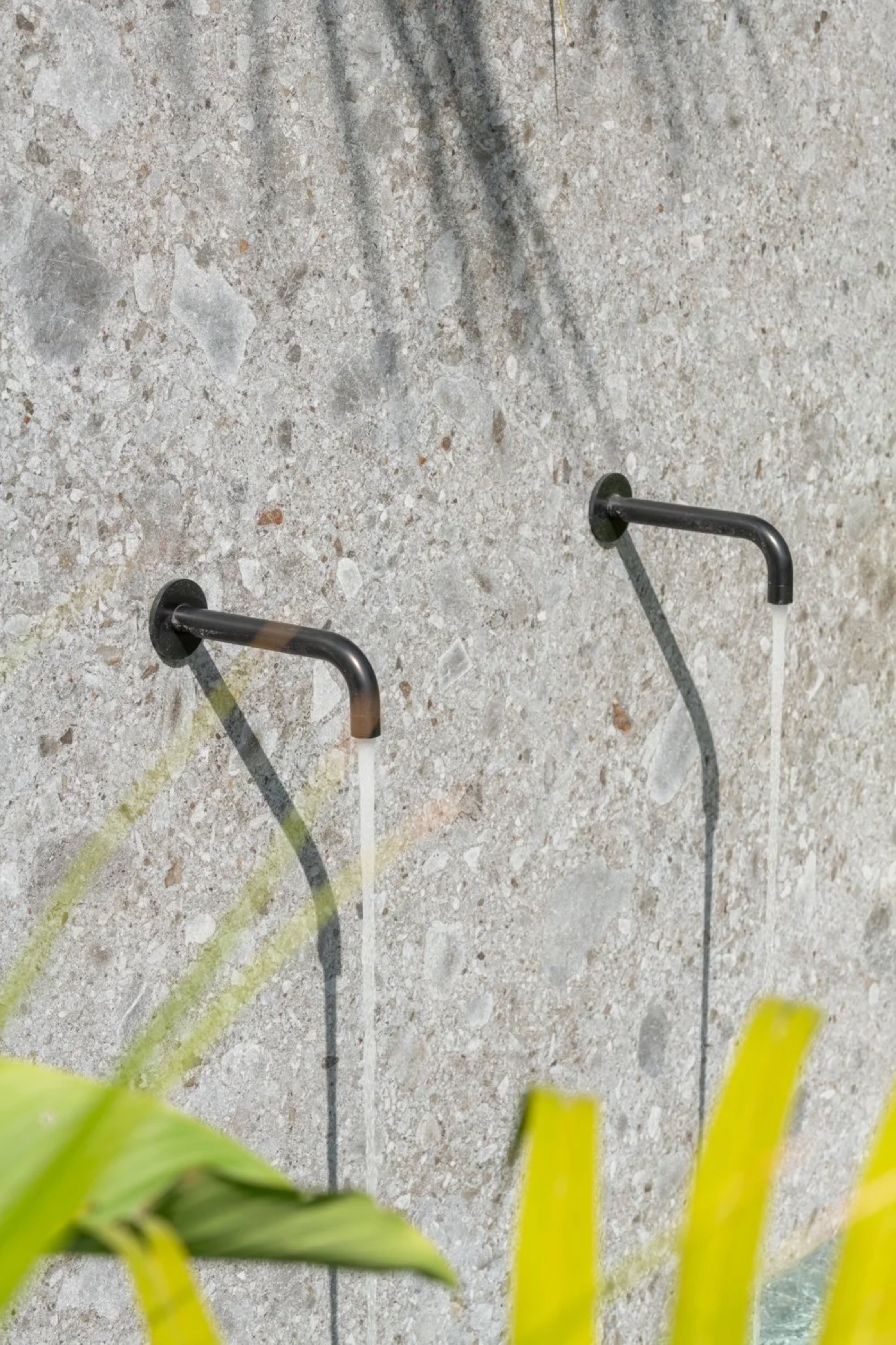 Olive and Stone