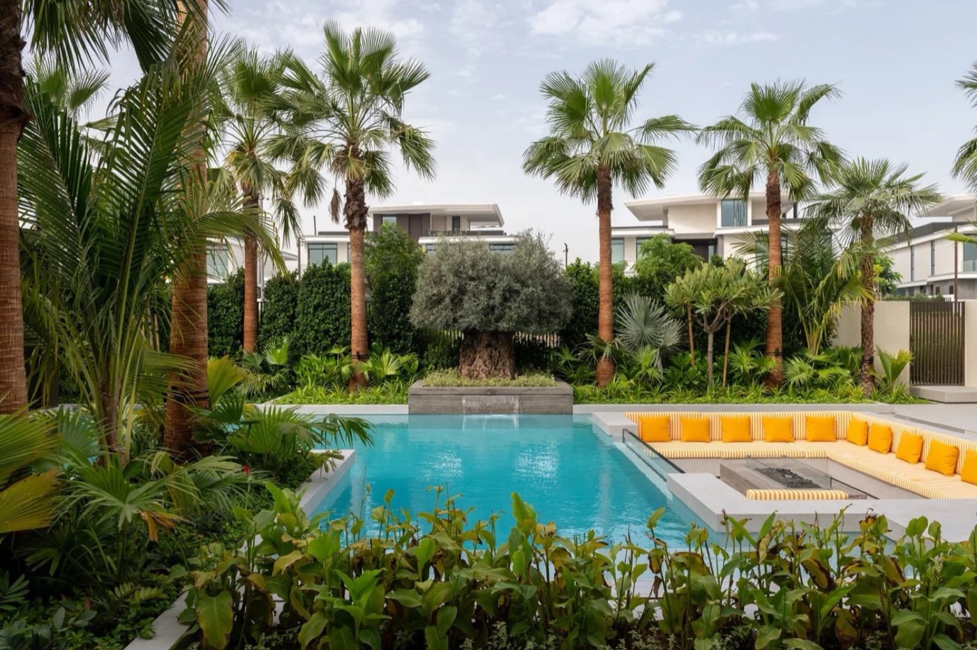Palm Hills Oasis