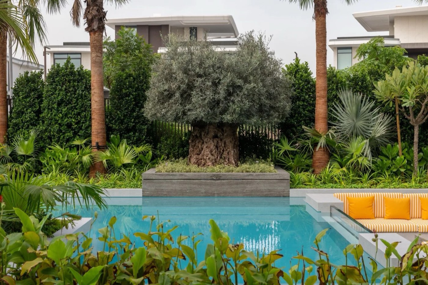 Palm Hills Oasis