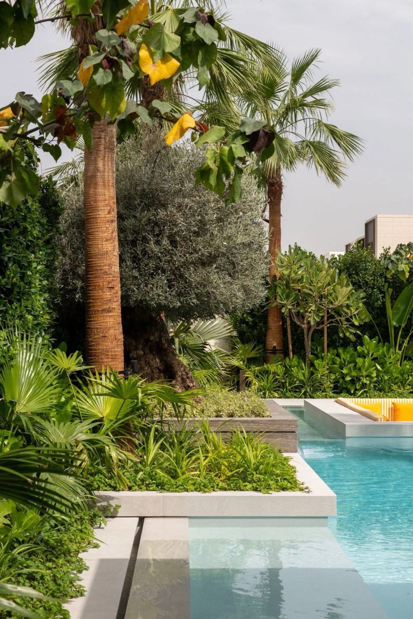 Palm Hills Oasis