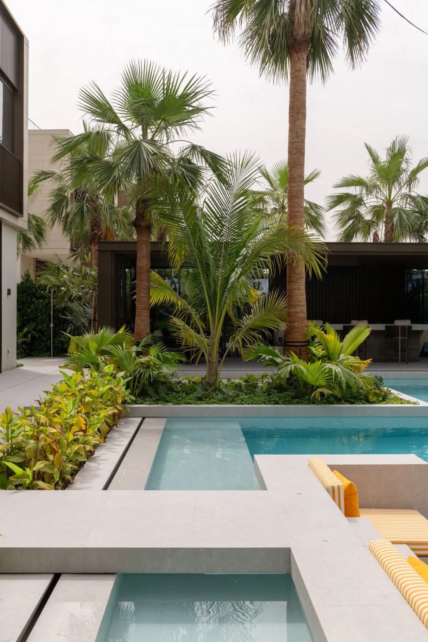 Palm Hills Oasis
