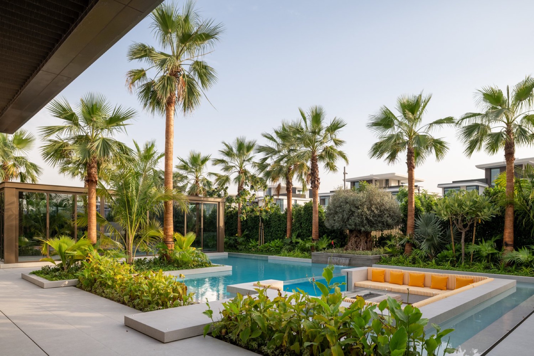 Palm Hills Oasis